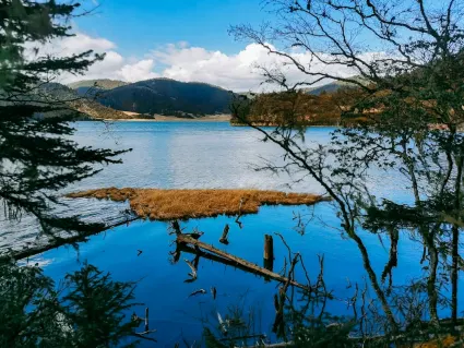 77spins Casino Aplicación móvil